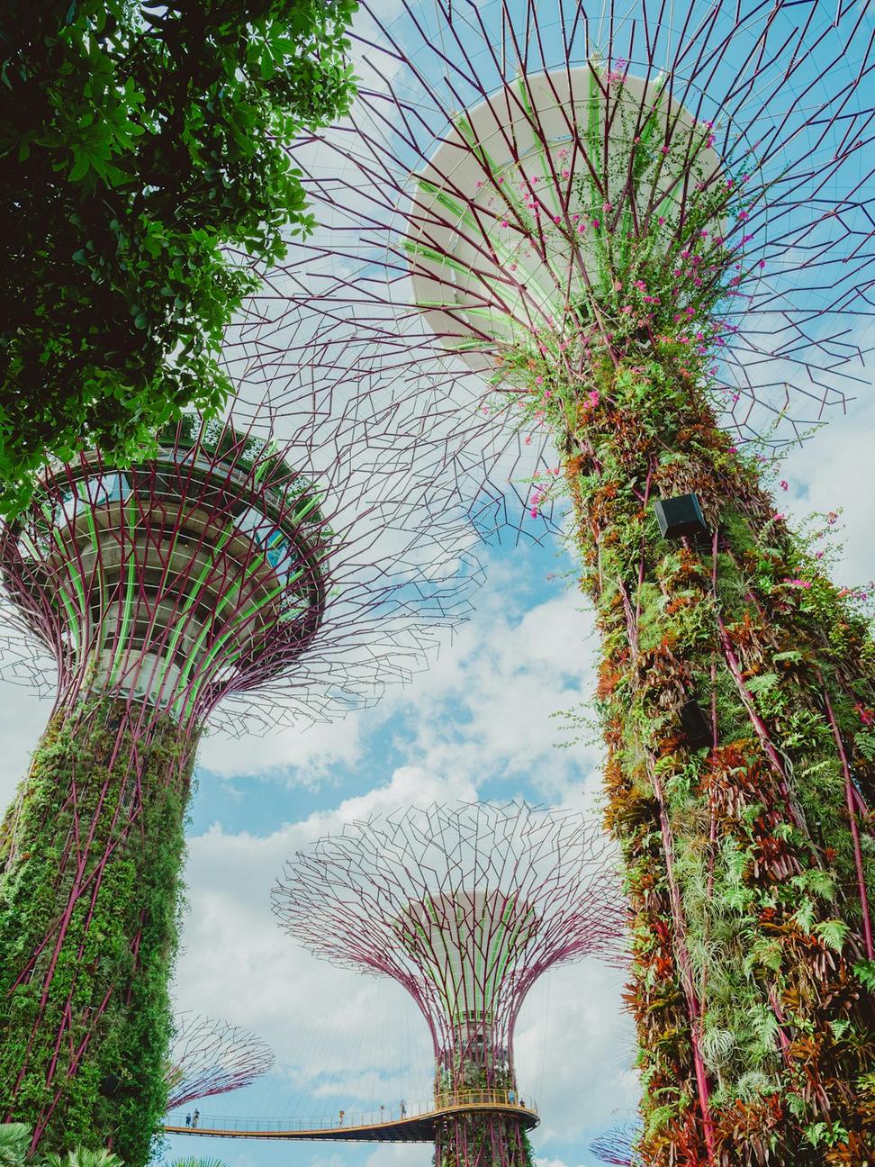 Sustainable urban architecture